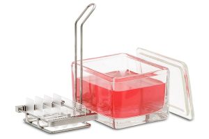 سبد رنگ آمیزی لام