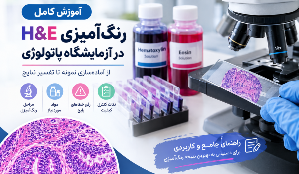 آموزش کامل رنگ‌آمیزی H&E در آزمایشگاه پاتولوژی با هماتوکسیلین و ائوزین