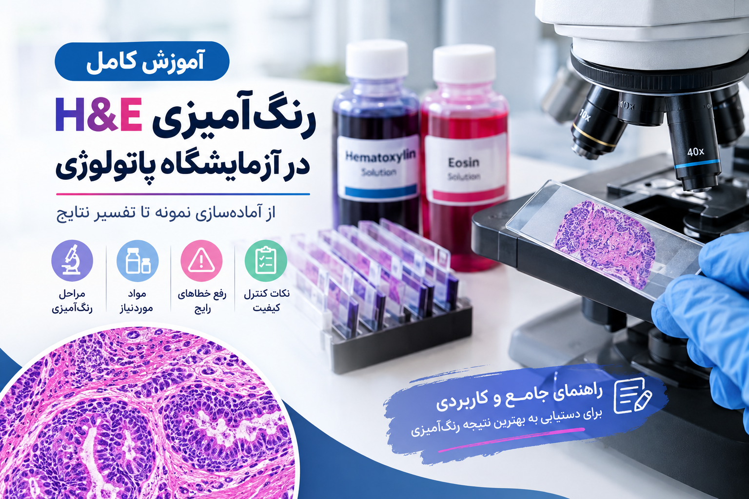 آموزش کامل رنگ‌آمیزی H&E در آزمایشگاه پاتولوژی با هماتوکسیلین و ائوزین