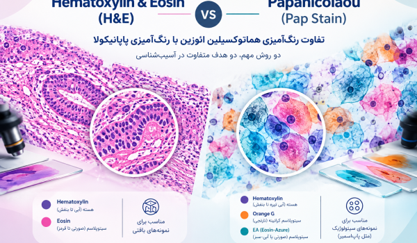 مقایسه رنگ‌آمیزی هماتوکسیلین ائوزین H&E با رنگ‌آمیزی پاپانیکولا Pap Stain
